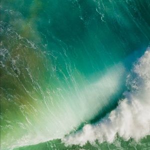 Meet your Posher, Jaritt